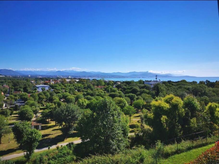 Superbe Appartement, Piscine, Vue Mer Et Montagnes Антіб Екстер'єр фото
